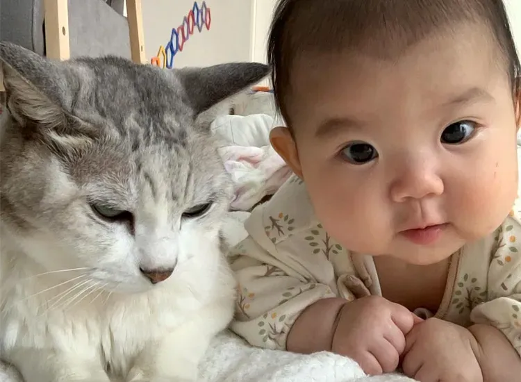 cat and baby