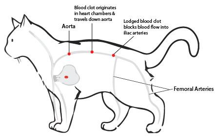 ATE mechanism