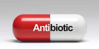 antibiotic