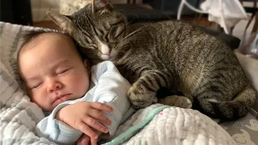 cat and baby