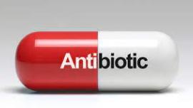 antibiotic