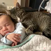 cat and baby