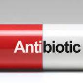 antibiotic